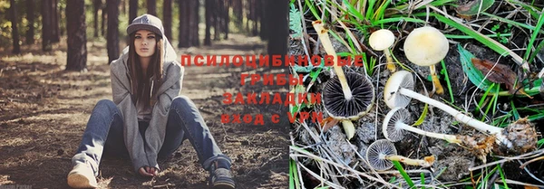 соль курить ск Верхний Тагил