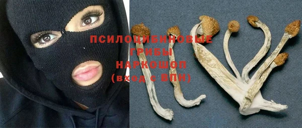 соль курить ск Верхний Тагил
