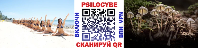 Псилоцибиновые грибы мицелий  kraken ССЫЛКА  Глазов  наркошоп 